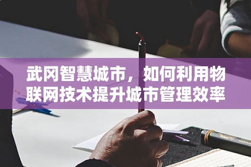 武冈智慧城市，如何利用物联网技术提升城市管理效率？