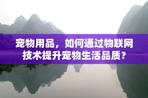宠物用品，如何通过物联网技术提升宠物生活品质？