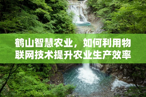 鹤山智慧农业，如何利用物联网技术提升农业生产效率？