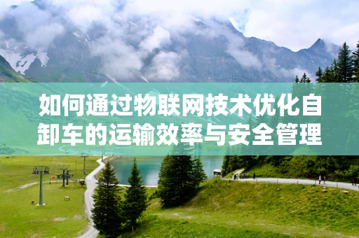 如何通过物联网技术优化自卸车的运输效率与安全管理？