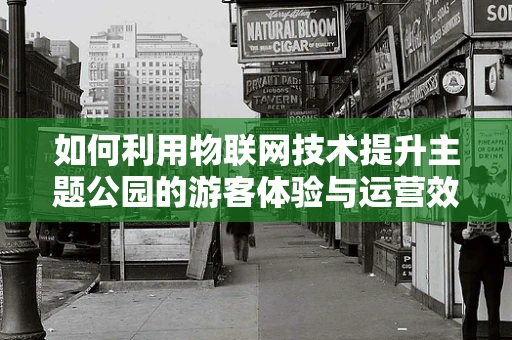 如何利用物联网技术提升主题公园的游客体验与运营效率？
