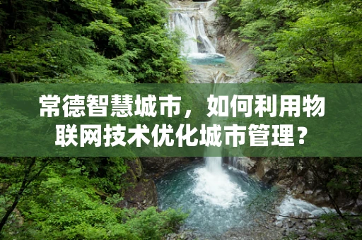 常德智慧城市，如何利用物联网技术优化城市管理？