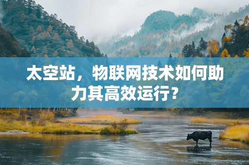 太空站，物联网技术如何助力其高效运行？