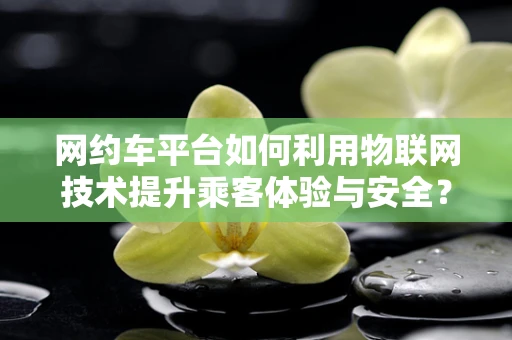 网约车平台如何利用物联网技术提升乘客体验与安全？