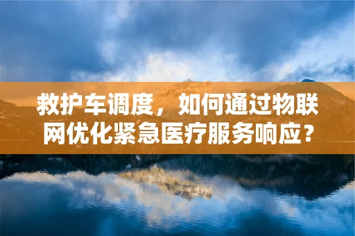 救护车调度，如何通过物联网优化紧急医疗服务响应？