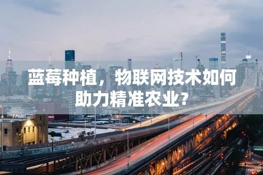 蓝莓种植，物联网技术如何助力精准农业？