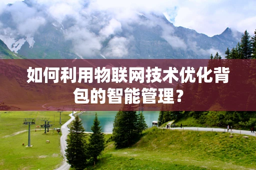 如何利用物联网技术优化背包的智能管理？