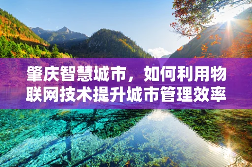 肇庆智慧城市，如何利用物联网技术提升城市管理效率？
