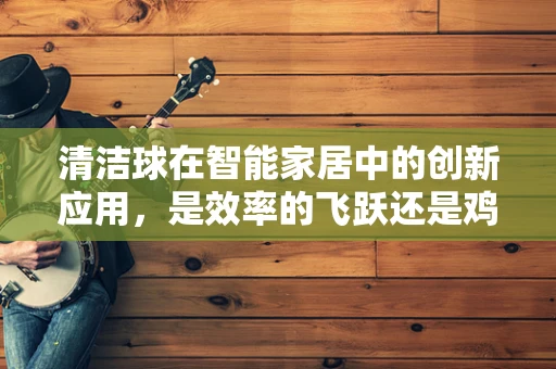 清洁球在智能家居中的创新应用，是效率的飞跃还是鸡肋的尝试？