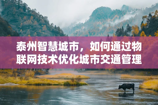 泰州智慧城市，如何通过物联网技术优化城市交通管理？