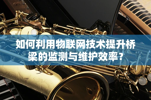 如何利用物联网技术提升桥梁的监测与维护效率？