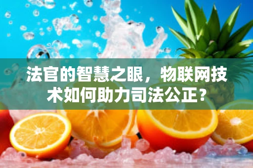 法官的智慧之眼，物联网技术如何助力司法公正？