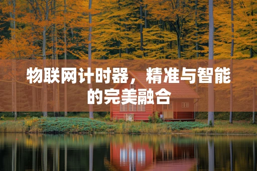 物联网计时器，精准与智能的完美融合