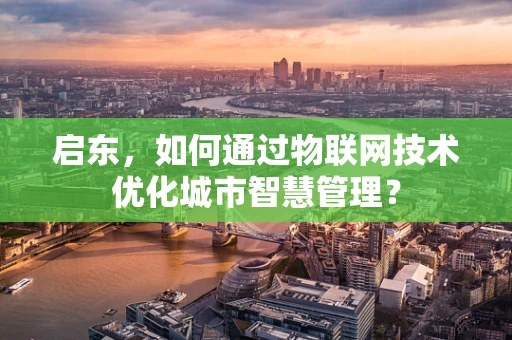 启东，如何通过物联网技术优化城市智慧管理？