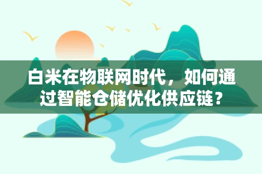 白米在物联网时代，如何通过智能仓储优化供应链？