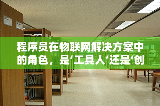 程序员在物联网解决方案中的角色，是‘工具人’还是‘创新者’？