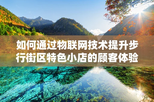 如何通过物联网技术提升步行街区特色小店的顾客体验与运营效率？