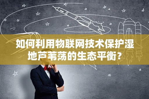 如何利用物联网技术保护湿地芦苇荡的生态平衡？