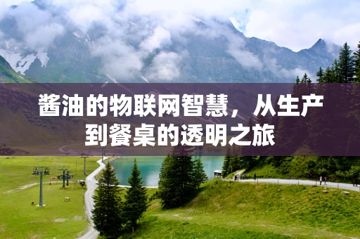 酱油的物联网智慧，从生产到餐桌的透明之旅