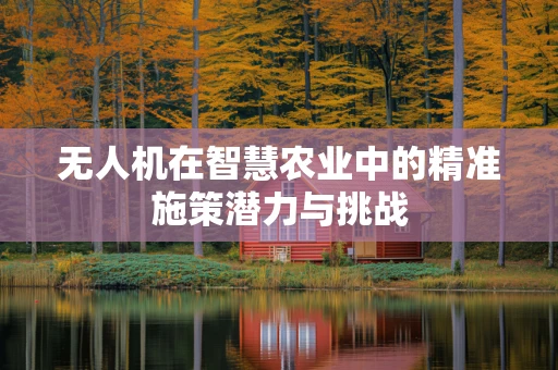 无人机在智慧农业中的精准施策潜力与挑战