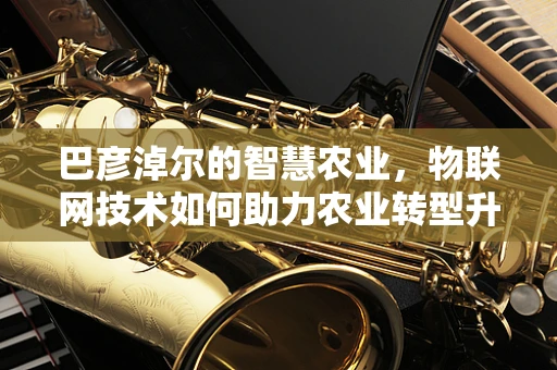 巴彦淖尔的智慧农业，物联网技术如何助力农业转型升级？