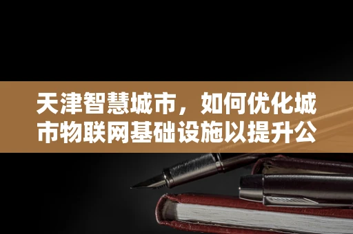 天津智慧城市，如何优化城市物联网基础设施以提升公共服务效率？