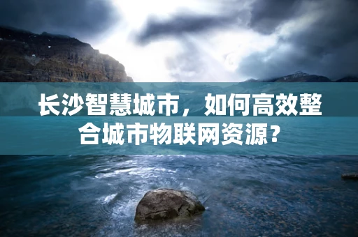 长沙智慧城市，如何高效整合城市物联网资源？