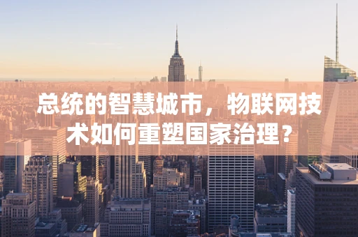 总统的智慧城市，物联网技术如何重塑国家治理？