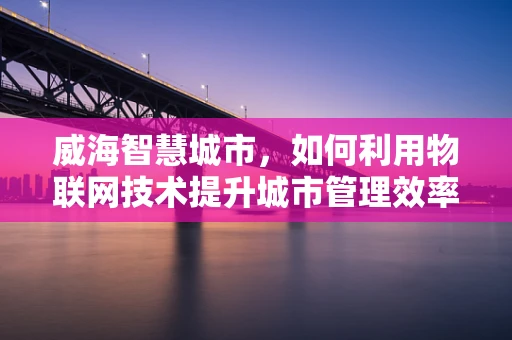 威海智慧城市，如何利用物联网技术提升城市管理效率？