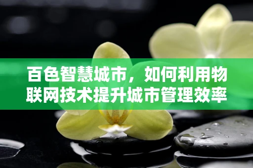 百色智慧城市，如何利用物联网技术提升城市管理效率？