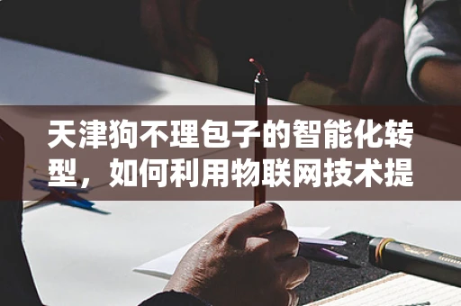 天津狗不理包子的智能化转型，如何利用物联网技术提升传统美食的体验？