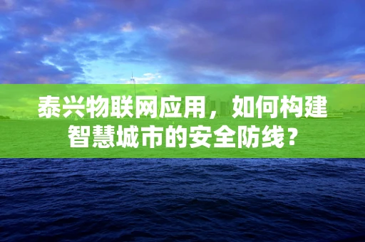 泰兴物联网应用，如何构建智慧城市的安全防线？