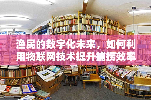 渔民的数字化未来，如何利用物联网技术提升捕捞效率？