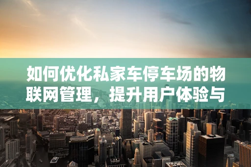 如何优化私家车停车场的物联网管理，提升用户体验与效率？