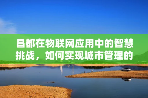 昌都在物联网应用中的智慧挑战，如何实现城市管理的精准与高效？