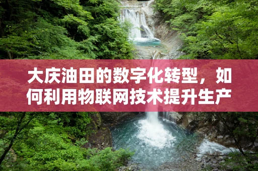 大庆油田的数字化转型，如何利用物联网技术提升生产效率？