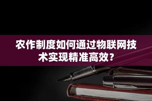 农作制度如何通过物联网技术实现精准高效？