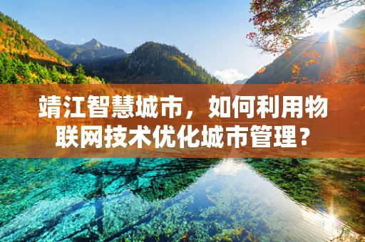 靖江智慧城市，如何利用物联网技术优化城市管理？