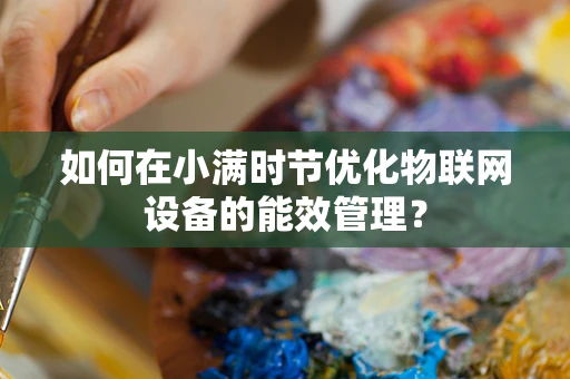 如何在小满时节优化物联网设备的能效管理？