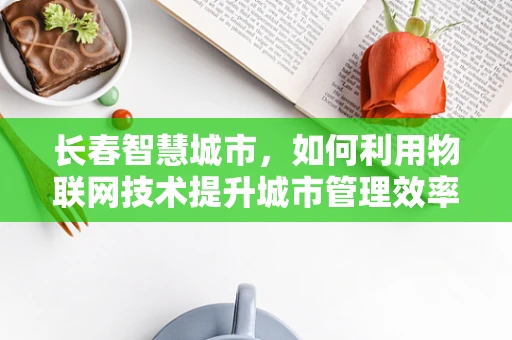 长春智慧城市，如何利用物联网技术提升城市管理效率？