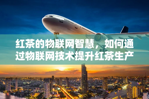 红茶的物联网智慧，如何通过物联网技术提升红茶生产与销售？