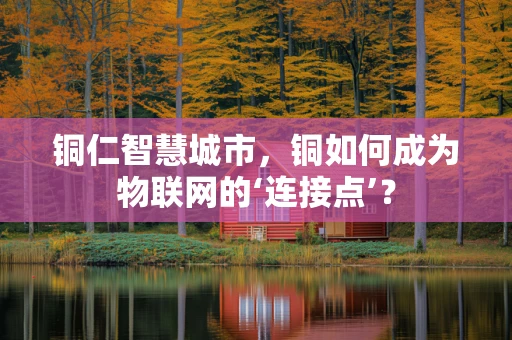 铜仁智慧城市，铜如何成为物联网的‘连接点’？