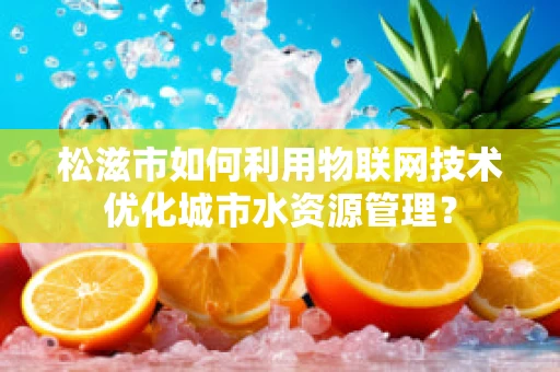 松滋市如何利用物联网技术优化城市水资源管理？