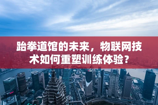 跆拳道馆的未来，物联网技术如何重塑训练体验？