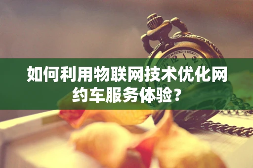 如何利用物联网技术优化网约车服务体验？