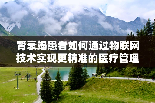 肾衰竭患者如何通过物联网技术实现更精准的医疗管理？