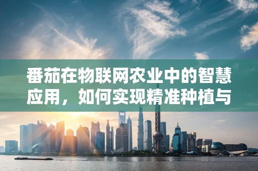 番茄在物联网农业中的智慧应用，如何实现精准种植与高效管理？