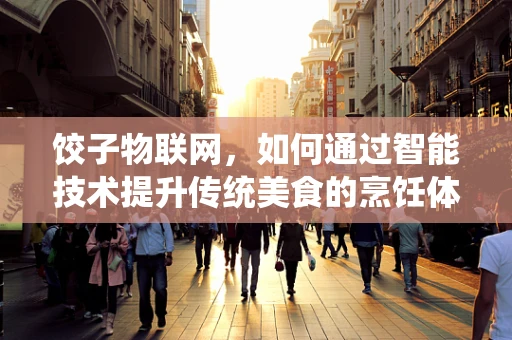 饺子物联网，如何通过智能技术提升传统美食的烹饪体验？
