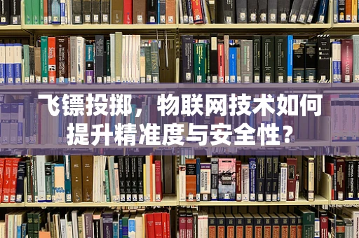 飞镖投掷，物联网技术如何提升精准度与安全性？