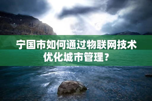 宁国市如何通过物联网技术优化城市管理？